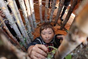 Уколова Татьяна Семеновна