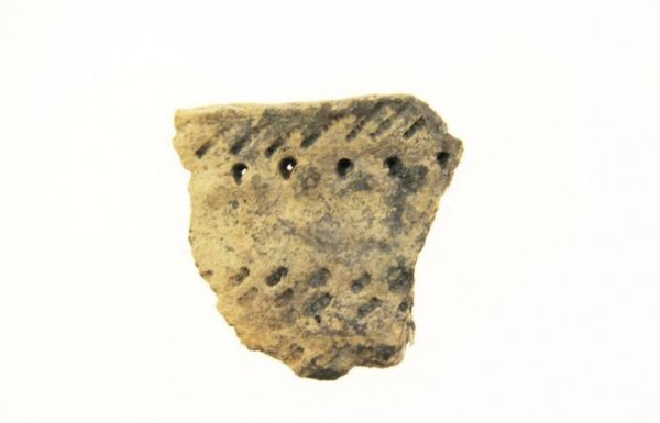 «Земля чёрного соболя»