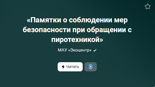 «Памятки о соблюдении мер безопасности при обращении с пиротехникой» (от  31.12.2022)