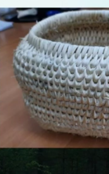 РОЖДЕНИЕ КОРНЕВАТИКА