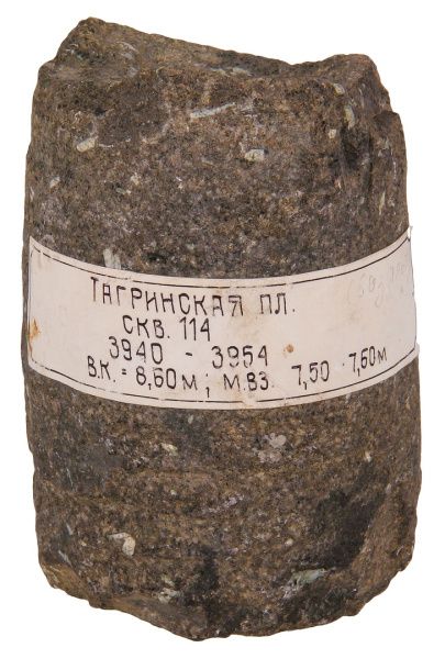 Керны из фондов МАУ «Экоцентр» (от 27.02.2024 года)