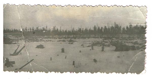 Рубрика: Югра в фотообъективе (translation) (от 03.06.2025)