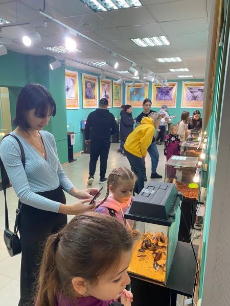 Сегодня в МАУ «Экоцентр» стартовала выставка «Живые Пауки-Гиганты»