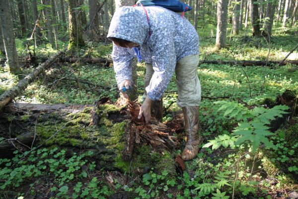 Экспедиционная поездка на родовые угодья Тылчина В. А.