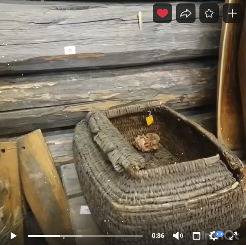 Предметы домашнего обихода (от 22.01)