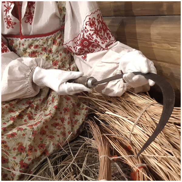 Рубрика «Информационная палитра»