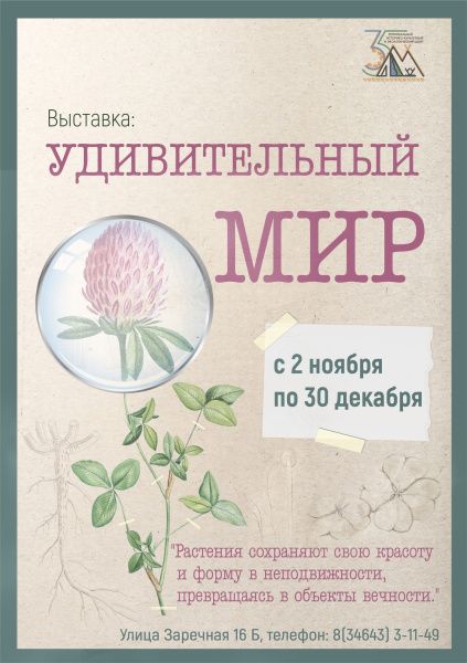 Выставка «Удивительный мир»