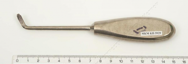 Рубрика «Предмет дня»