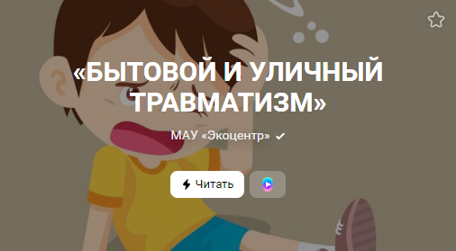 «БЫТОВОЙ И УЛИЧНЫЙ ТРАВМАТИЗМ» (от 02.01.2023)