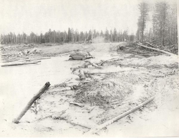 Рубрика: Югра в фотообъективе (translation) (от 05.05.2025)