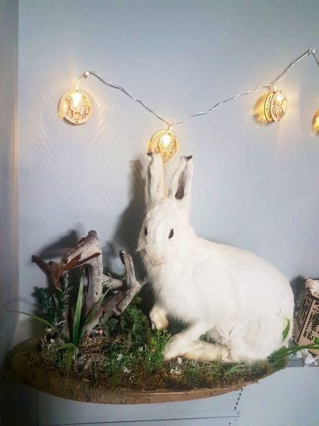 С Новым 2023 годом!