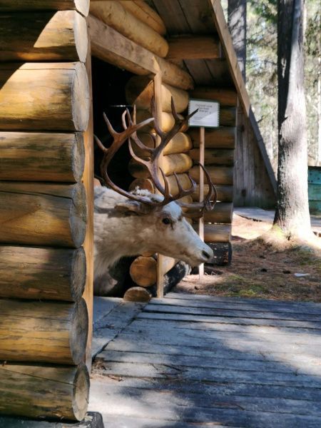 Выходные на Югре!