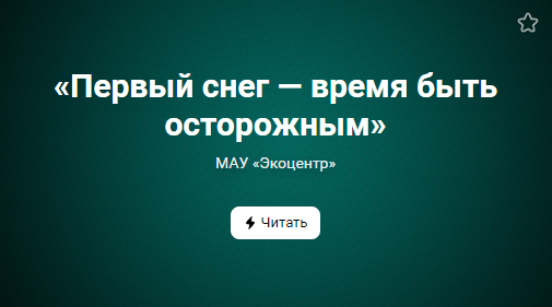 «Первый снег — время быть осторожным» (от 28.10.2022)