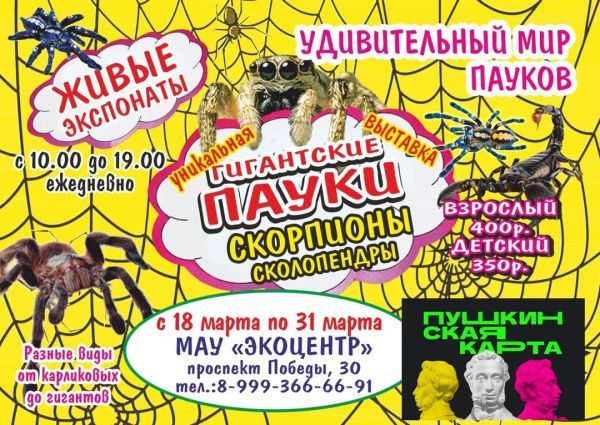 Живые пауки-гиганты