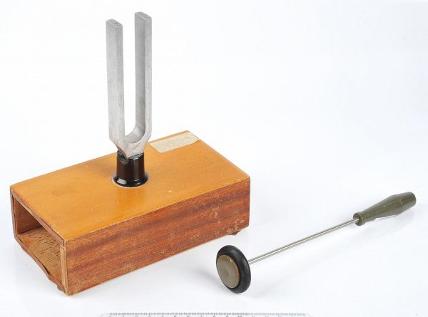 Рубрика: Предметы и Факты (+translation) (от 10.08.2022)