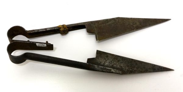 Рубрика: Предметы и Факты (от 08.07.2025)