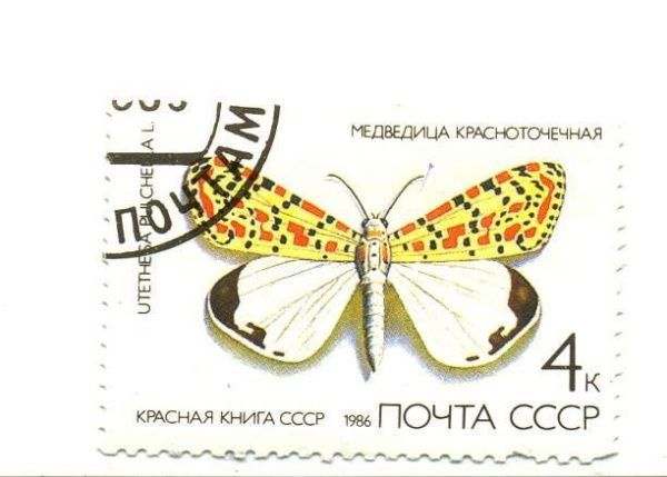 Рубрика: Учинение обыкновенной почты (от 25.03.2024)