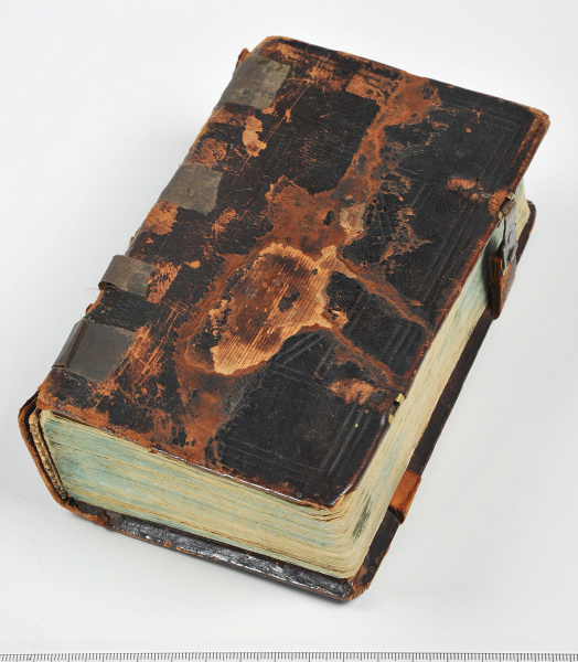 Рубрика «Предмет дня»