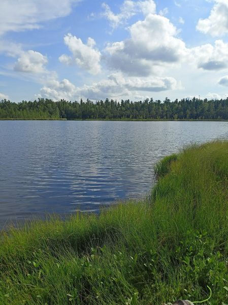 Югра приглашает! (от 07.08.2024)