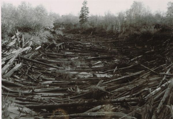 Рубрика: Предметы и Факты (+translation) (от 14.08.2023)