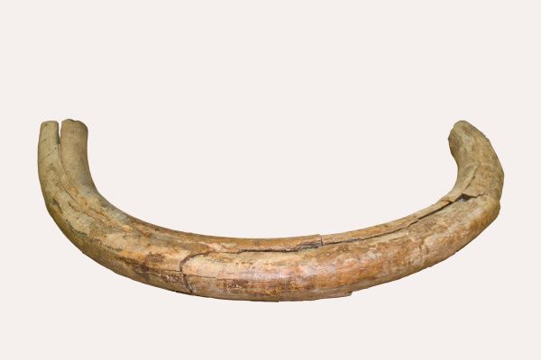 Рубрика: Предметы и Факты (translation) (от 24.07.2025)