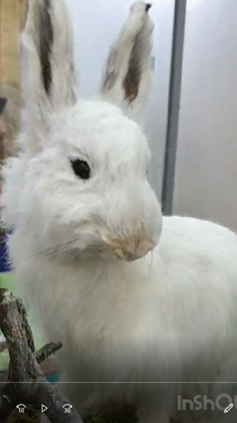 Самая главная сказка, которую пишешь ты!