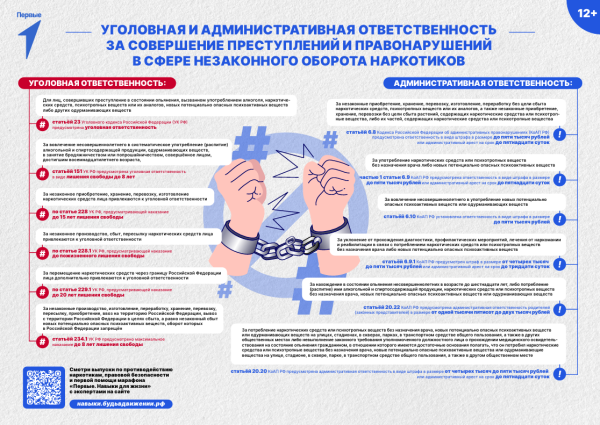 Уголовная и административная ответственность за совершение преступлений