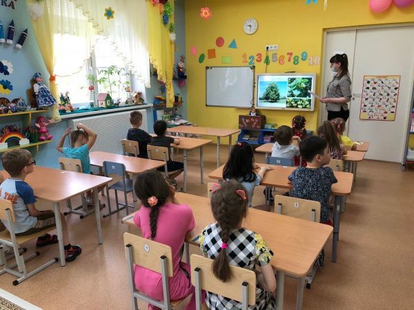 Лиственные деревья и их отличительные признаки