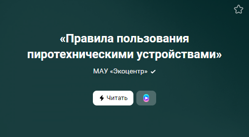 «Правила пользования пиротехническими устройствами» (от 28.12.2022)