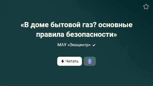 «В доме бытовой газ? основные правила безопасности» (от 01.01.2023)