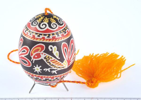 Рубрика: Предметы и Факты (от 29.01.2026)