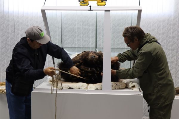 Готовится к открытию экспозиция по культуре коренных малочисленных народов Севера