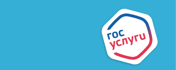 Предоставление государственных и муниципальных услуг в электронном виде (от 30.06.2025)