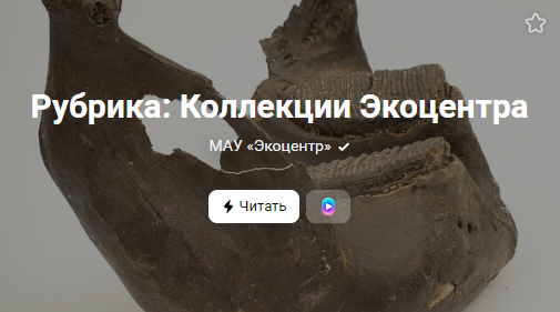 Рубрика: Коллекции Экоцентра (от 10.04.2023)