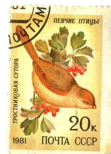 Рубрика: Учинение обыкновенной почты (+ translation) (от 18.11.2024)