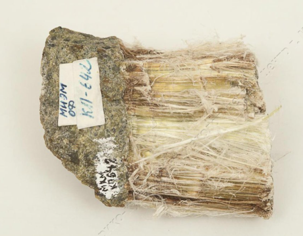 Рубрика: Предметы и Факты (+ translation) (от 25.11.2024)